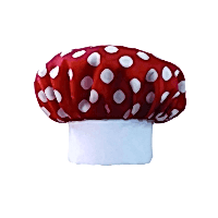 Mantar Şapkası Çocuk