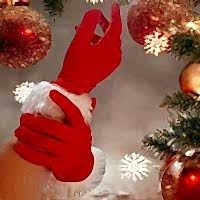 Noel Anne Eldiveni Kürklü