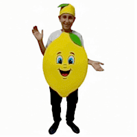 Limon Kostümü Çocuk