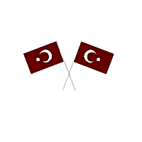 Türk Bayrağı Kağıt Çıtalı 12'li