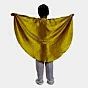Okul Gösteri Pelerini Kanatlı Sarı